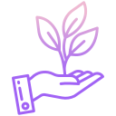 growth